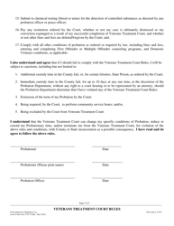 Form VTC-03 Veterans Treatment Court Rules - County of San Mateo, California, Page 2