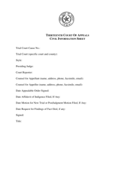 Document preview: Civil Information Sheet - Thirteenth Court of Appeals - Texas