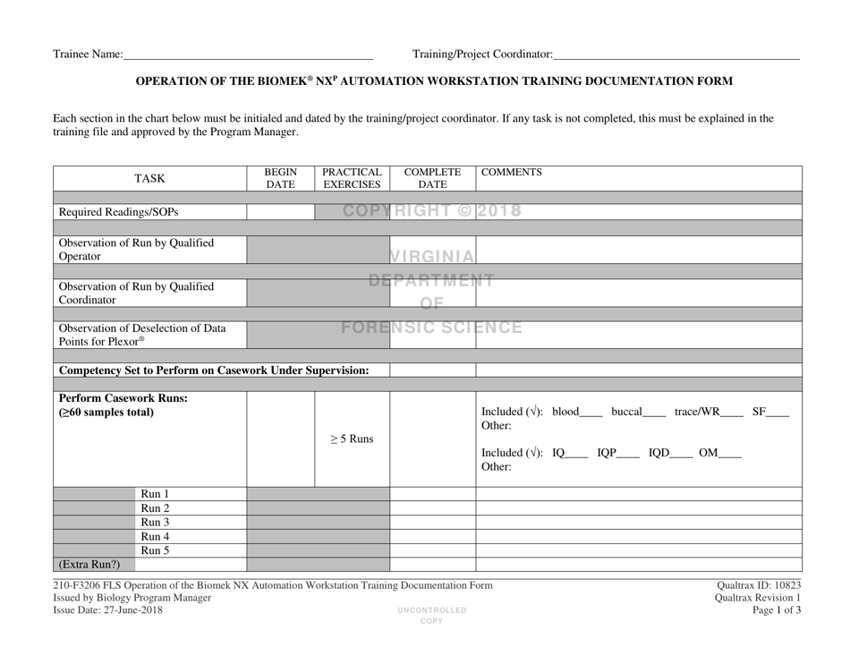 DFS Form 210F3206 FLS Fill Out, Sign Online and Download Printable