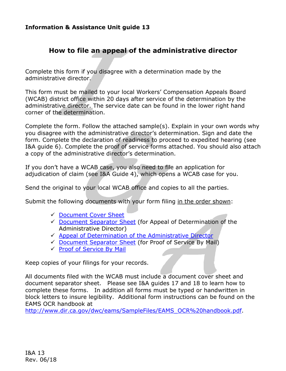 Form I&A13 - Fill Out, Sign Online and Download Printable PDF ...