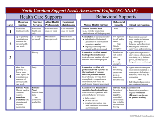 North Carolina Support Needs Assessment Profile (Nc-Snap) - North Carolina, Page 3