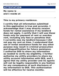 Form RAP-1002A-LP Emergency Rental Assistance Program Manual Application (Large Print) - Arizona, Page 18