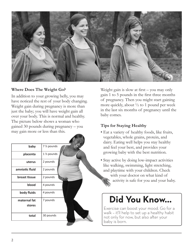 Form SP-000-38 Self-paced Lesson - Healthy Weight Gain During Pregnancy - Texas, Page 2