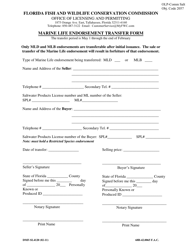 Form DMF-SL4120 Marine Life Endorsement Transfer Form - Florida