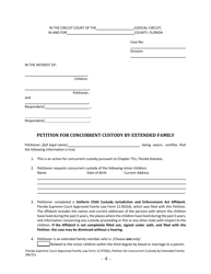 Form 12.970(B) Petition for Concurrent Custody by Extended Family - Florida, Page 4