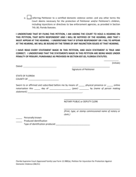 Form 12.980(A) &quot;Petition for Injunction for Protection Against Domestic Violence&quot; - Florida, Page 14
