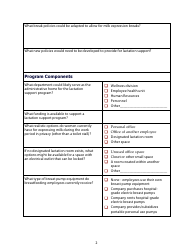 Lactation Program Assessment Form, Page 2