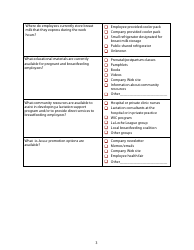 Lactation Program Assessment Form, Page 3