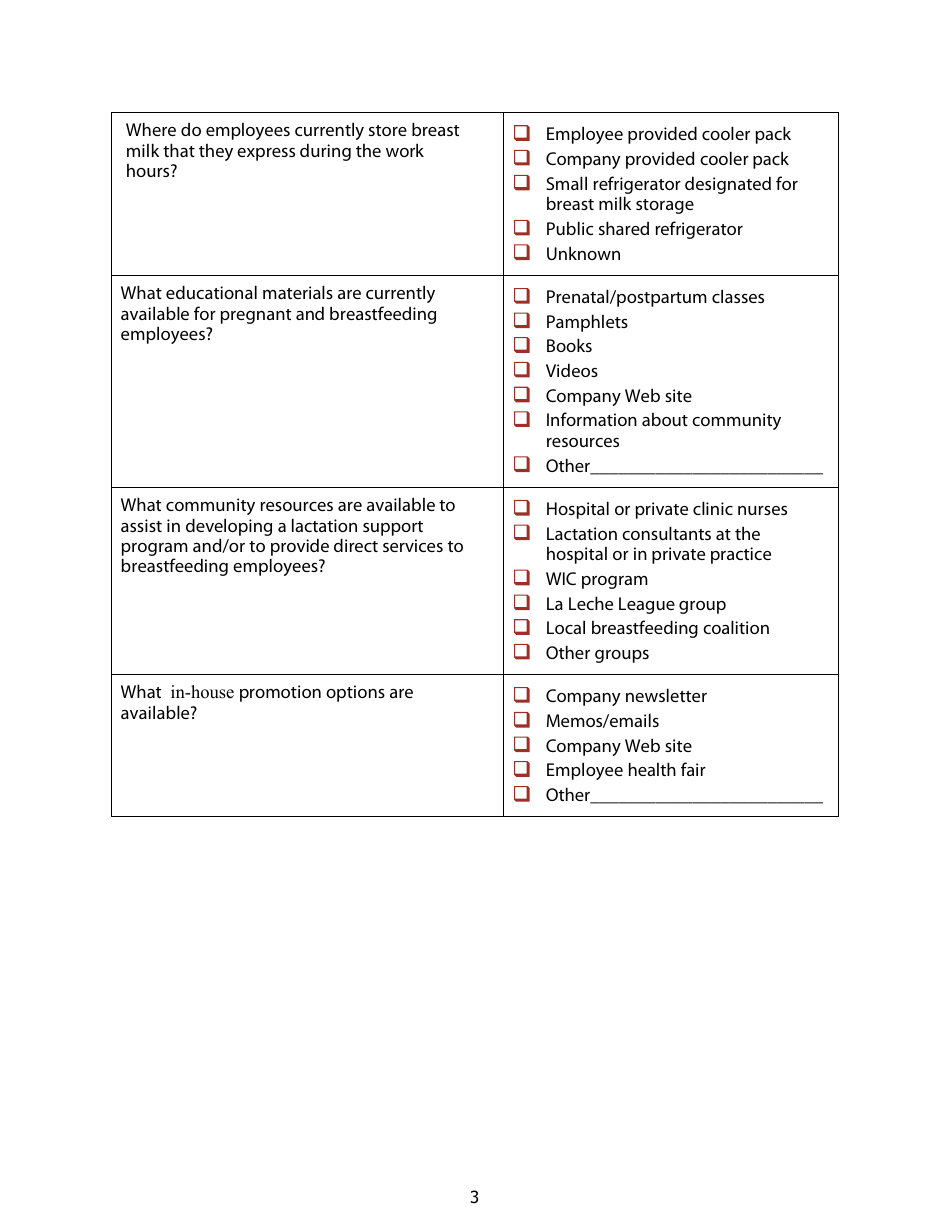 Lactation Program Assessment Form, Page 3