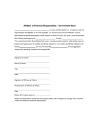 Document preview: Affidavit of Financial Responsibility - Government Bond - Wisconsin