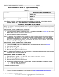 Form GF-308 Instructions for How to Appear Remotely - Wisconsin