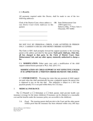 Decree of Divorce With Minor Children - Wyoming, Page 10