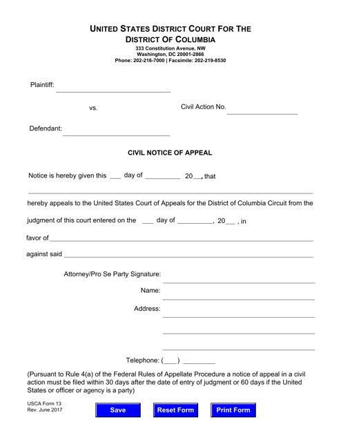 USCA Form 13 Printable Pdf