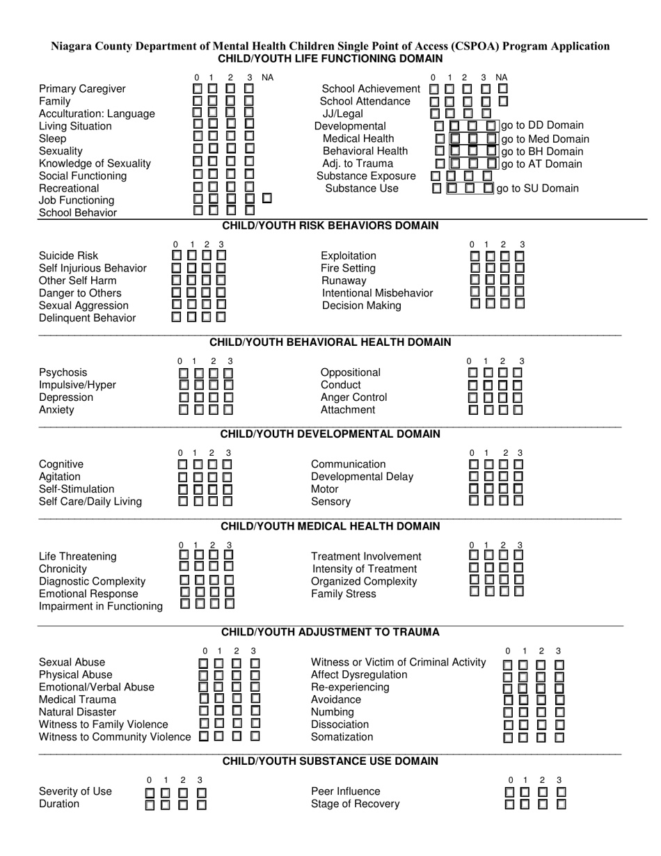 Attachment B Cans Assessment - Children Single Point of Access (Cspoa) Program - Niagara County, New York, Page 2