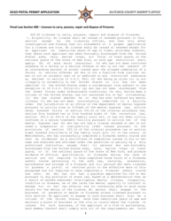 Dcso Pistol Permit Application - Dutchess County, New York, Page 3