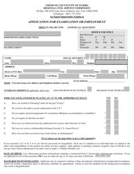 Document preview: Application for Examination or Employment - Chemung County, New York