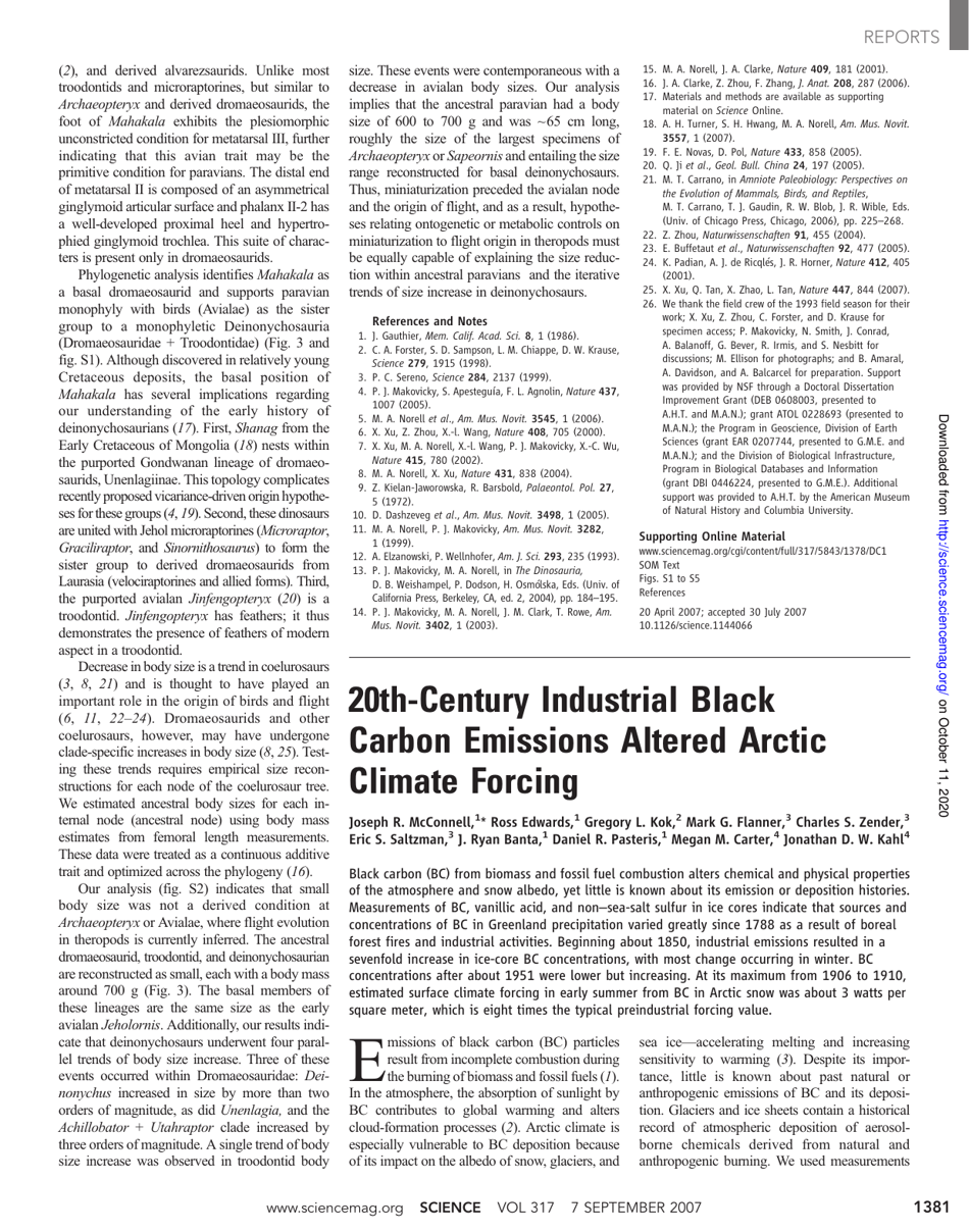 A Basal Dromaeosaurid and Size Evolution Preceding Avian Flight - Alan H. Turner, Diego Pol, Julia a. Clarke, Gregory M. Erickson, Mark a. Norell, Page 4