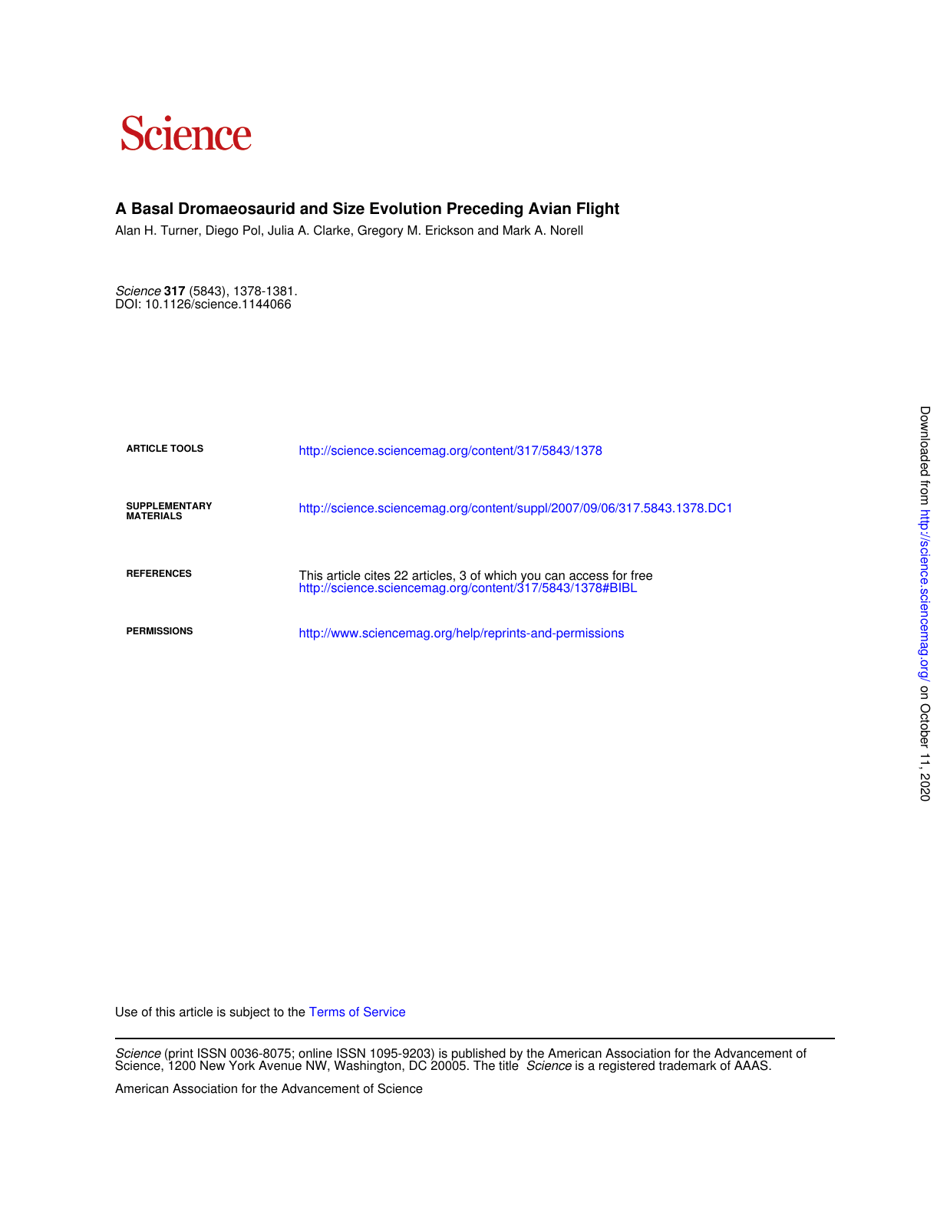 A Basal Dromaeosaurid and Size Evolution Preceding Avian Flight - Alan H. Turner, Diego Pol, Julia a. Clarke, Gregory M. Erickson, Mark a. Norell, Page 5