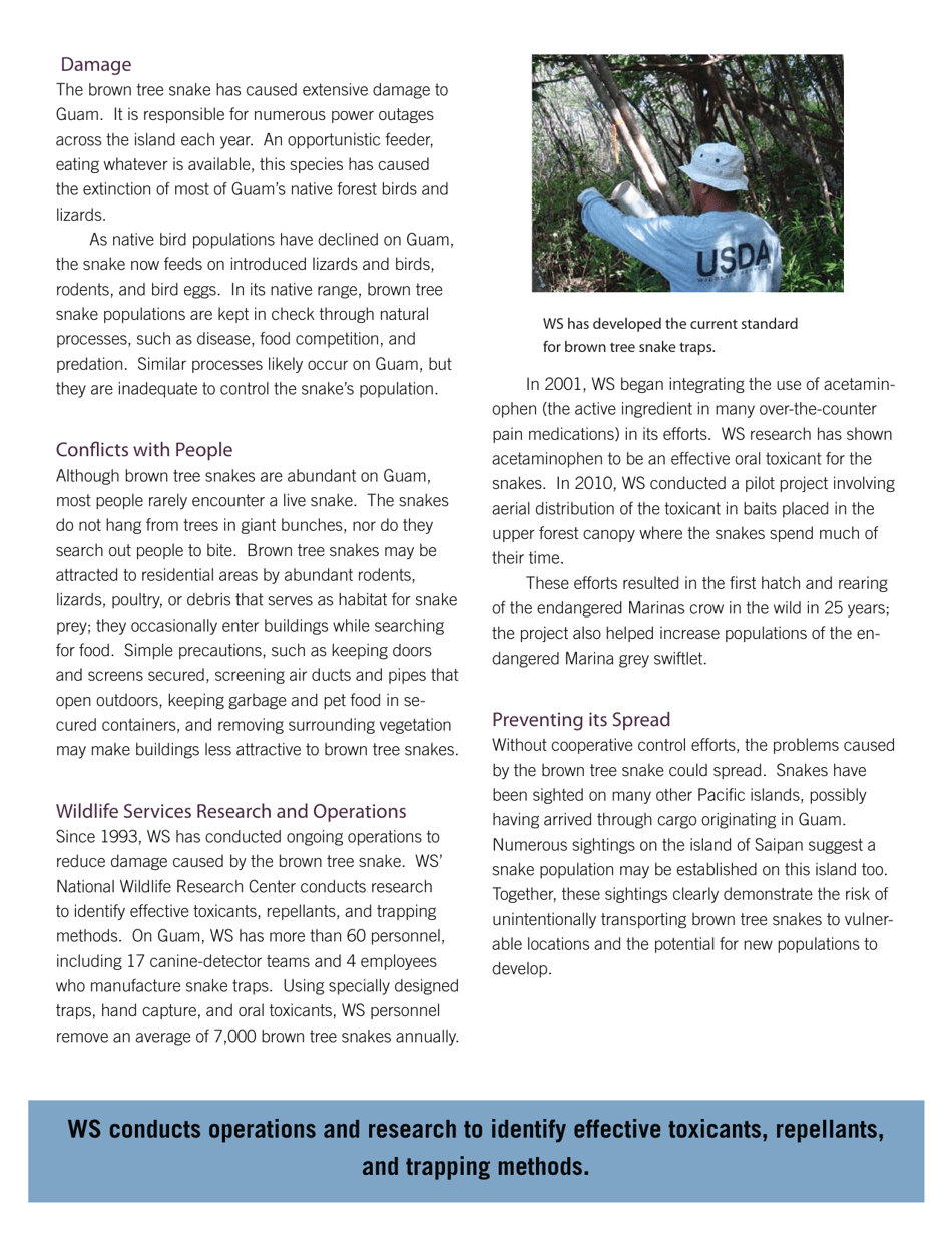 Brown Tree Snake an Invasive Reptile Factsheet, Page 2