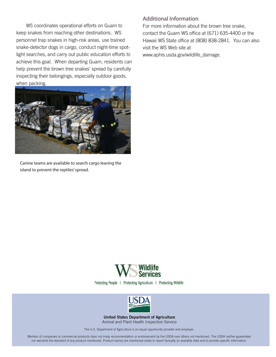 Brown Tree Snake an Invasive Reptile Factsheet, Page 3