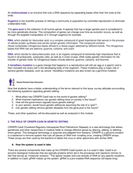 Genetic Editing: Ethical and Social Issues - High School Bioethics Project - New York, Page 2