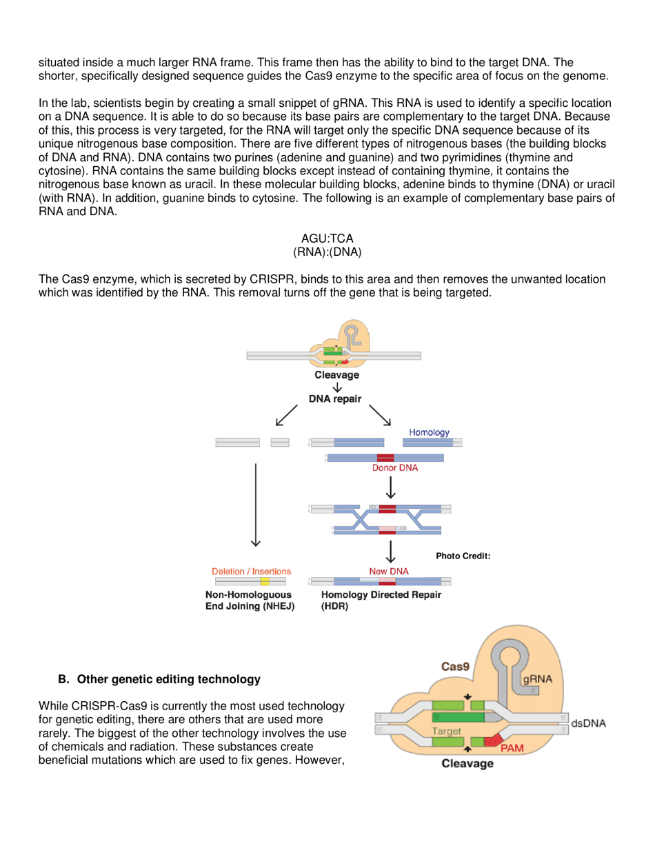 Genetic Editing: Ethical and Social Issues - High School Bioethics Project - New York, Page 3