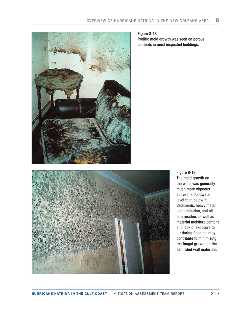 Overview of Hurricane Katrina in the New Orleans Area - Mitigation Assessment Team Report, Page 29