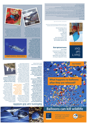 What Happens to Balloons After They Are Released? - United Kingdom, Page 5