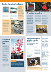 What Happens to Balloons After They Are Released? - United Kingdom, Page 6