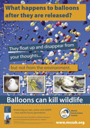 What Happens to Balloons After They Are Released? - United Kingdom, Page 7