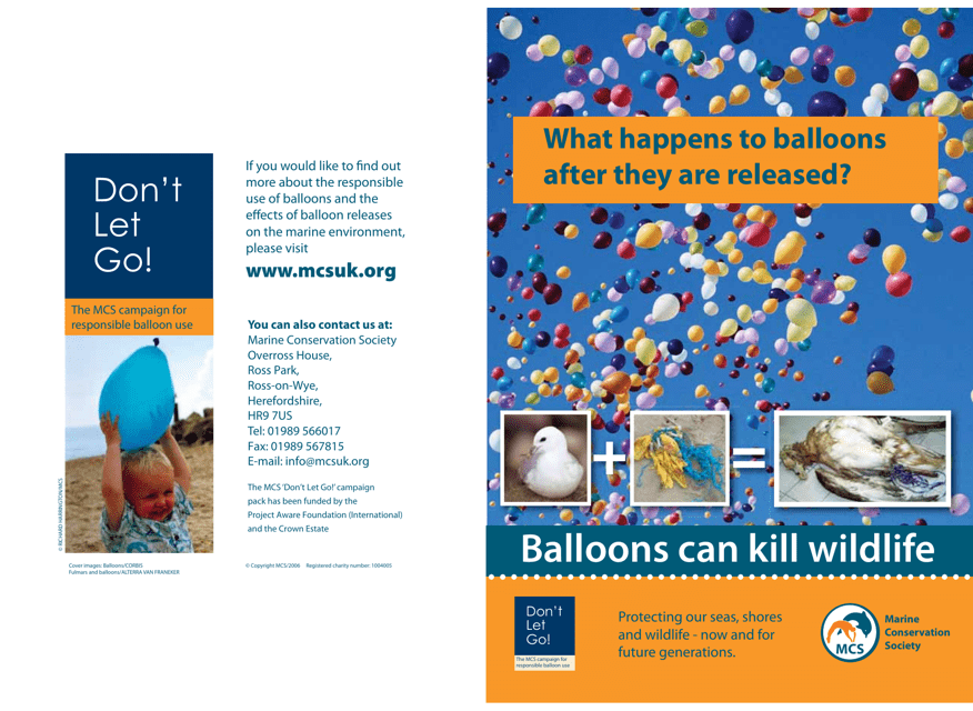 What Happens to Balloons After They Are Released? - United Kingdom
