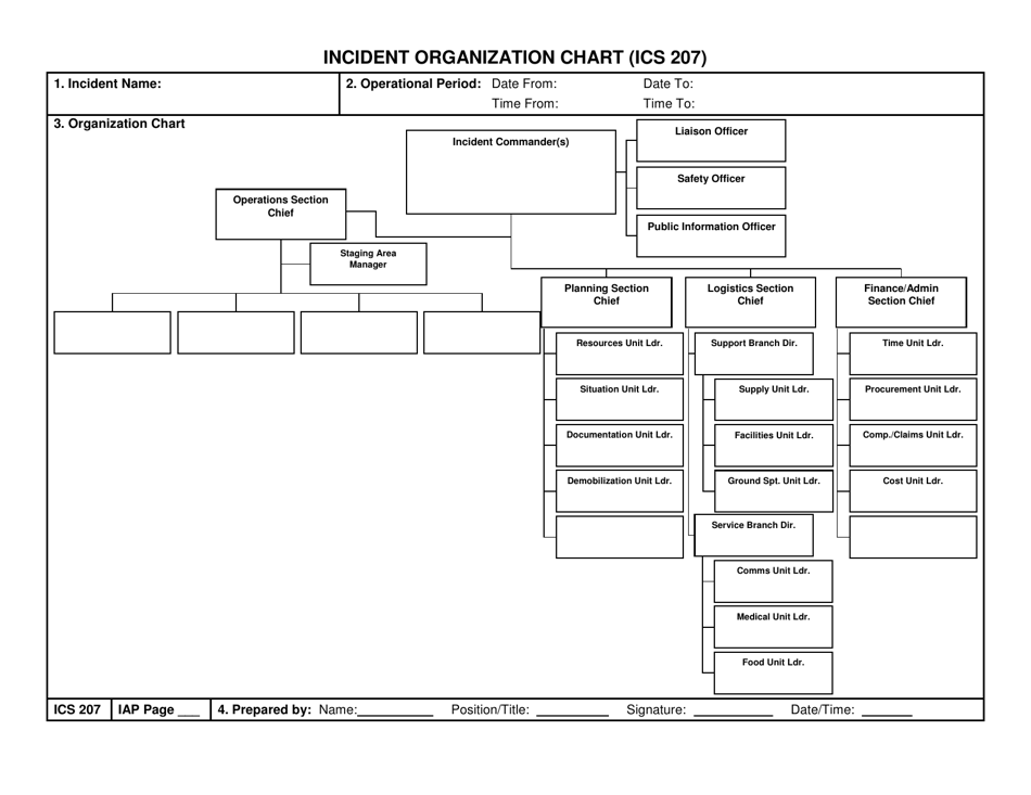 Ics Form 207 Fillable Printable Forms Free Online 9157