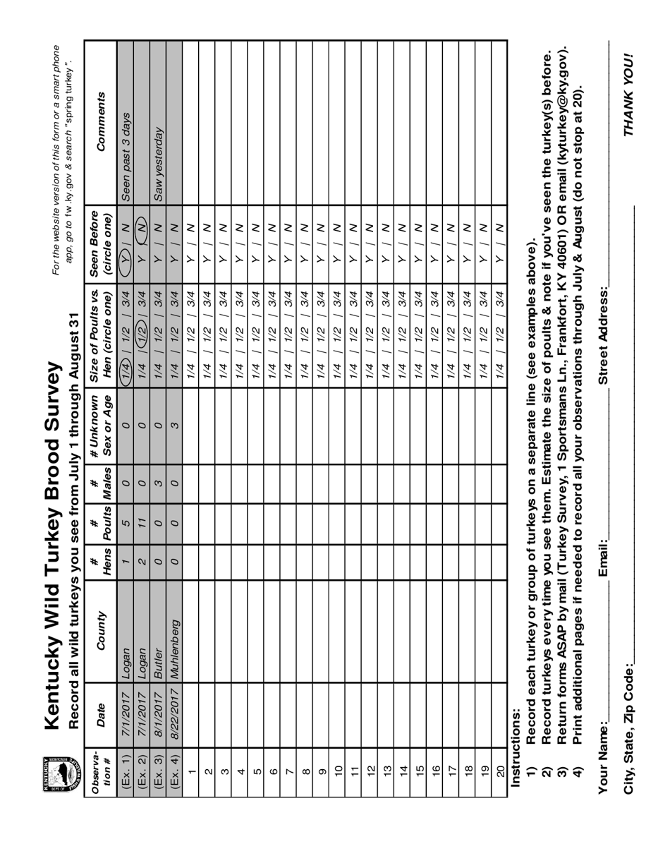 Kentucky Wild Turkey Brood Survey - Kentucky, Page 2