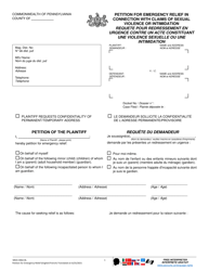 Document preview: Form MDJS306A-BL Petition for Emergency Relief in Connection With Claims of Sexual Violence or Intimidation - Pennsylvania (English/French)