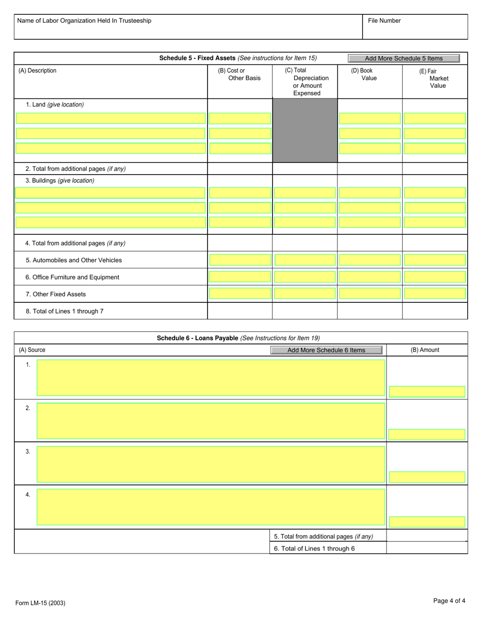 Form LM-15 Trusteeship Report, Page 4