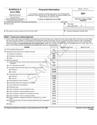 Form 5500 Schedule H Financial Information - Sample