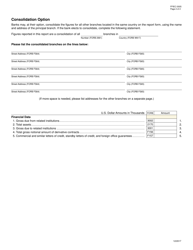 Form FFIEC030S Abbreviated Foreign Branch Report of Condition, Page 2