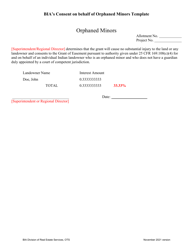 Document preview: Bia's Consent on Behalf of Orphaned Minors Template