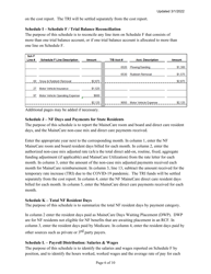 Instructions for Mainecare Cost Report for Nursing Facilities With Brain Injury Unit - Maine, Page 6