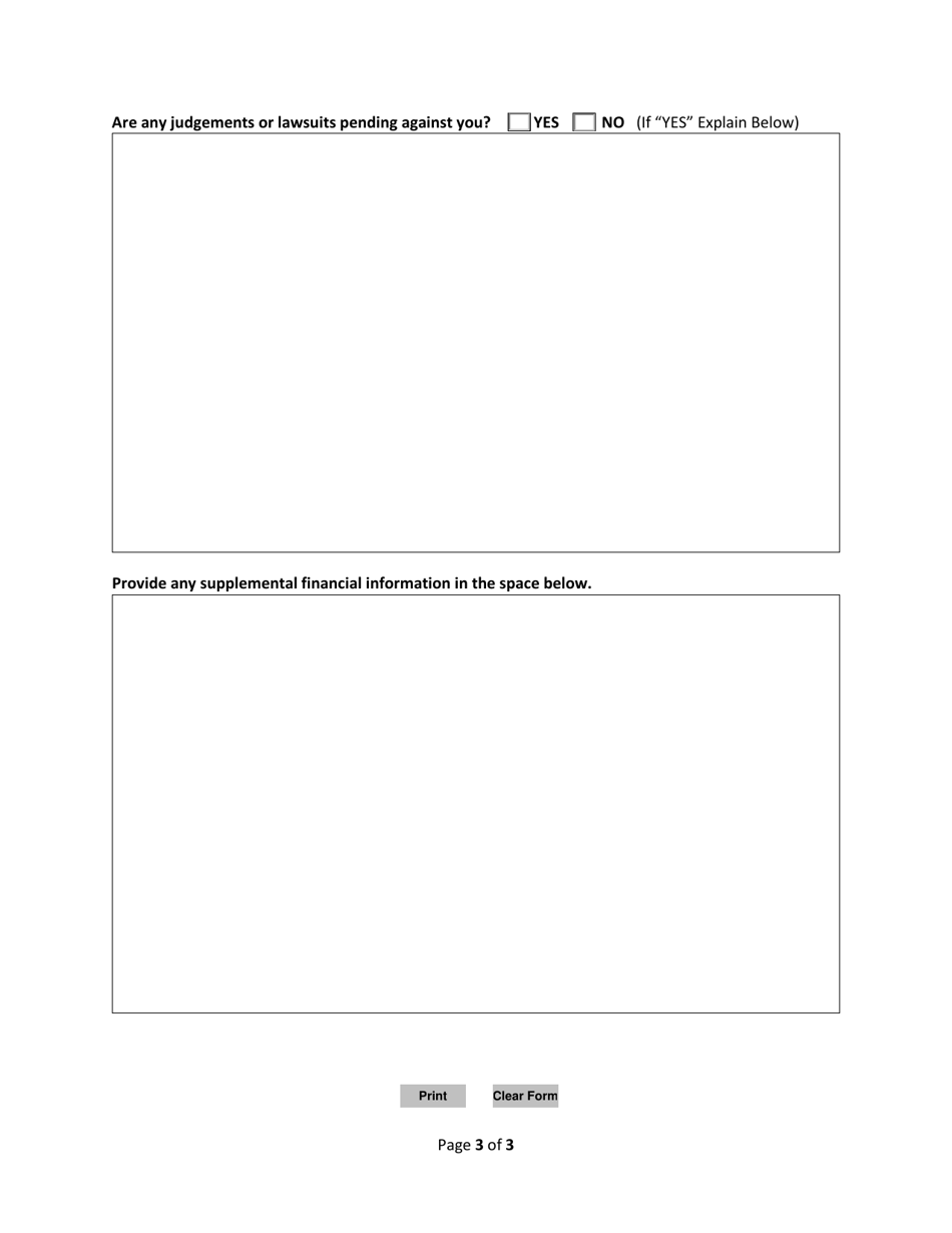 Professional Bail Bond Agent Financial Statement - Mississippi, Page 3