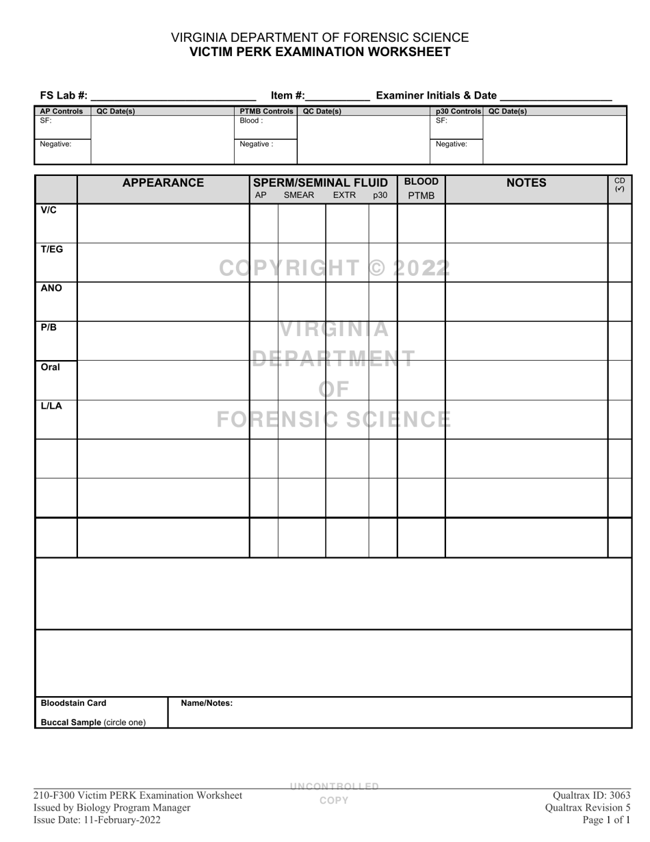 DFS Form 210-F300 Victim Perk Examination Worksheet - Virginia, Page 1