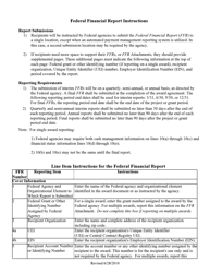 Form SF-425 Federal Financial Report, Page 3