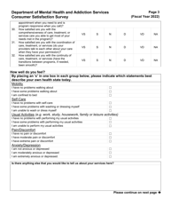 Behavioral Health Home Consumer Satisfaction Survey - Connecticut, Page 3