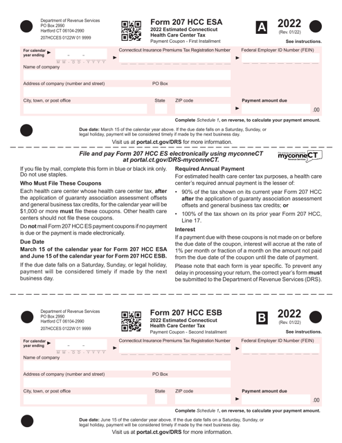 Form 207 HCC ES 2022 Printable Pdf