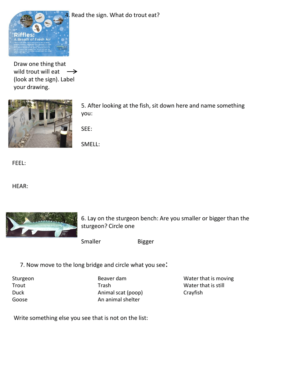 Mk Nature Center Scavenger Hunt for 2nd Graders - Idaho, Page 3