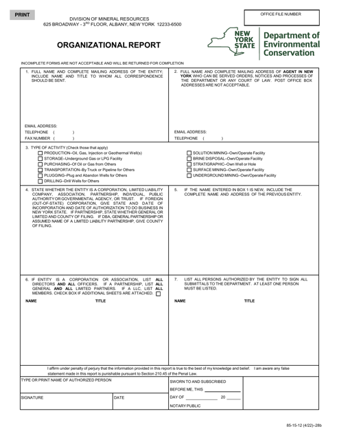 Form 85-15-12 Organizational Report - New York