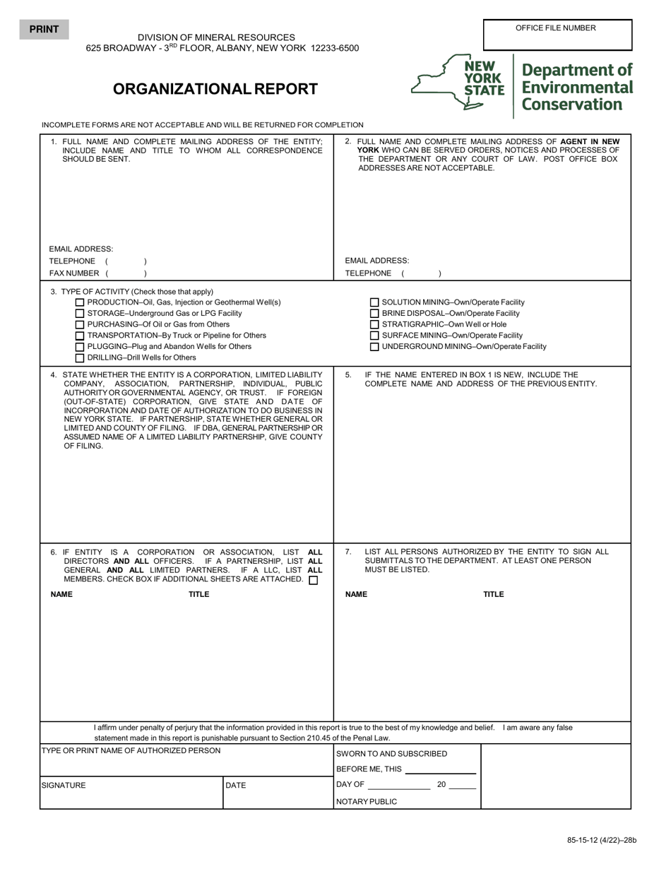 Form 85-15-12 Organizational Report - New York, Page 1