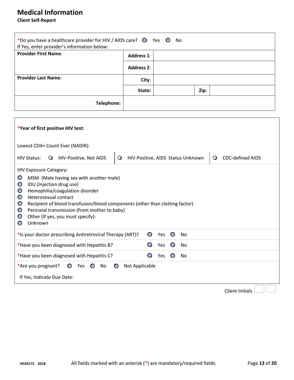 Form HEA0172 Ryan White Part B Program Application - Ohio, Page 13