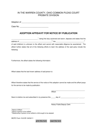 Document preview: WCPC Form 19.9 Adoption Affidavit for Notice by Publication - Warren County, Ohio