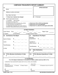 Document preview: Form DS-DE12 Campaign Treasurer's Report Summary - Florida